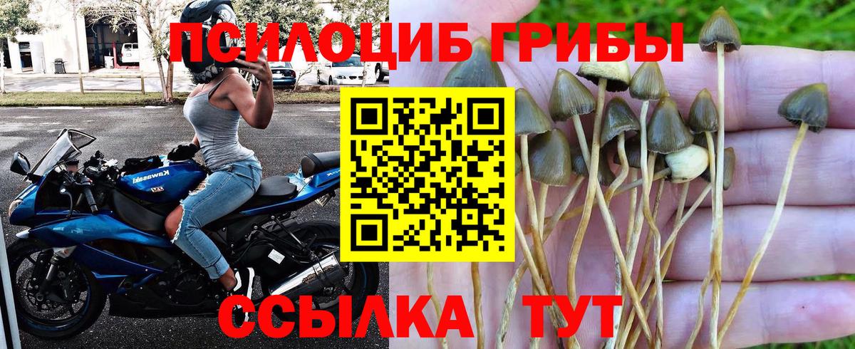 Псилоцибиновые грибы MAGIC MUSHROOMS Ковров